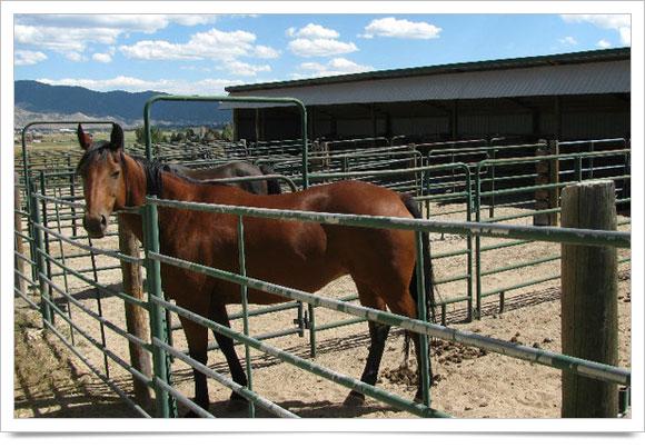 stabling02